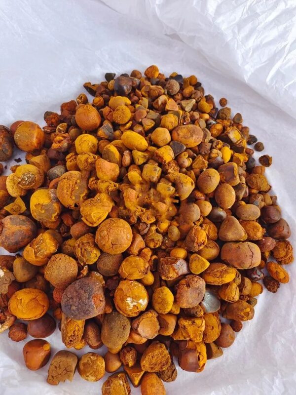 Cattle Gallstones/Ox Gallstones