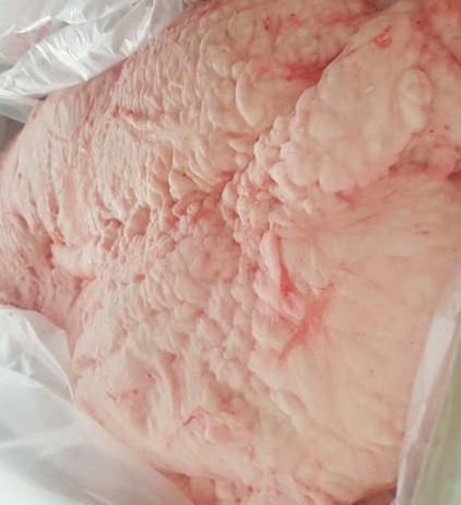 sheep tail fat